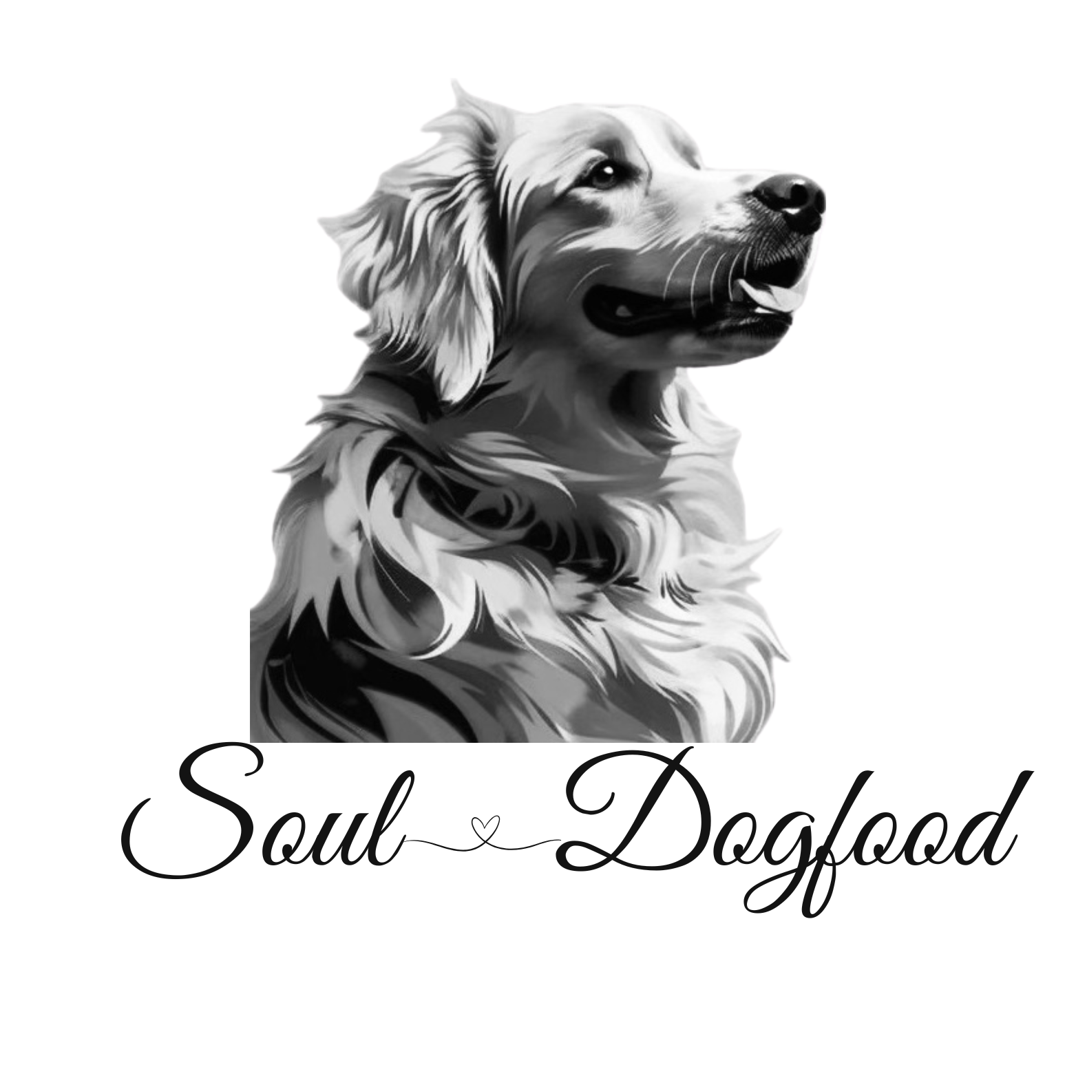 Ernährungsberatung für Hunde