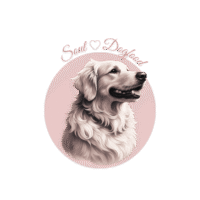 Ernährungsberatung für Hunde